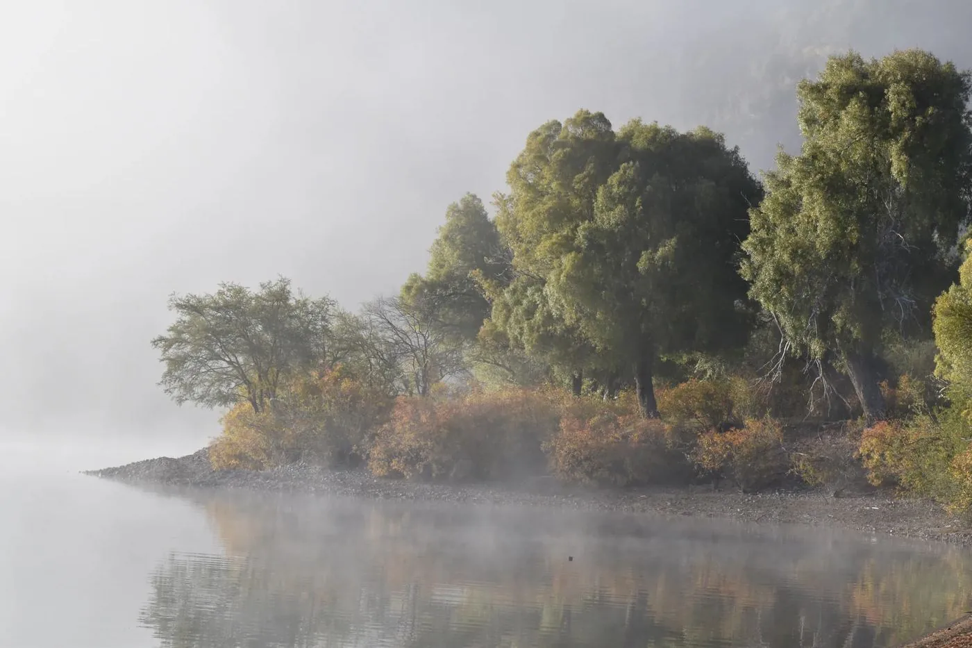 El Mundo Filuko — Lago brumoso Patagonia