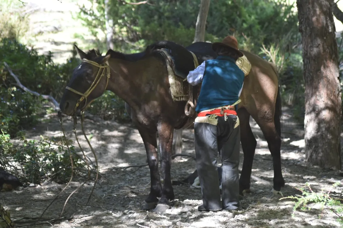 Mi mamá — gaucho en el bosque patagónico