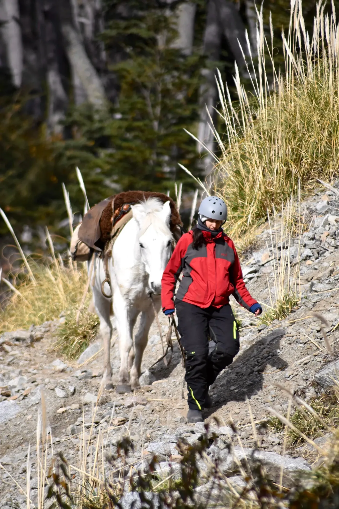 Patagonia